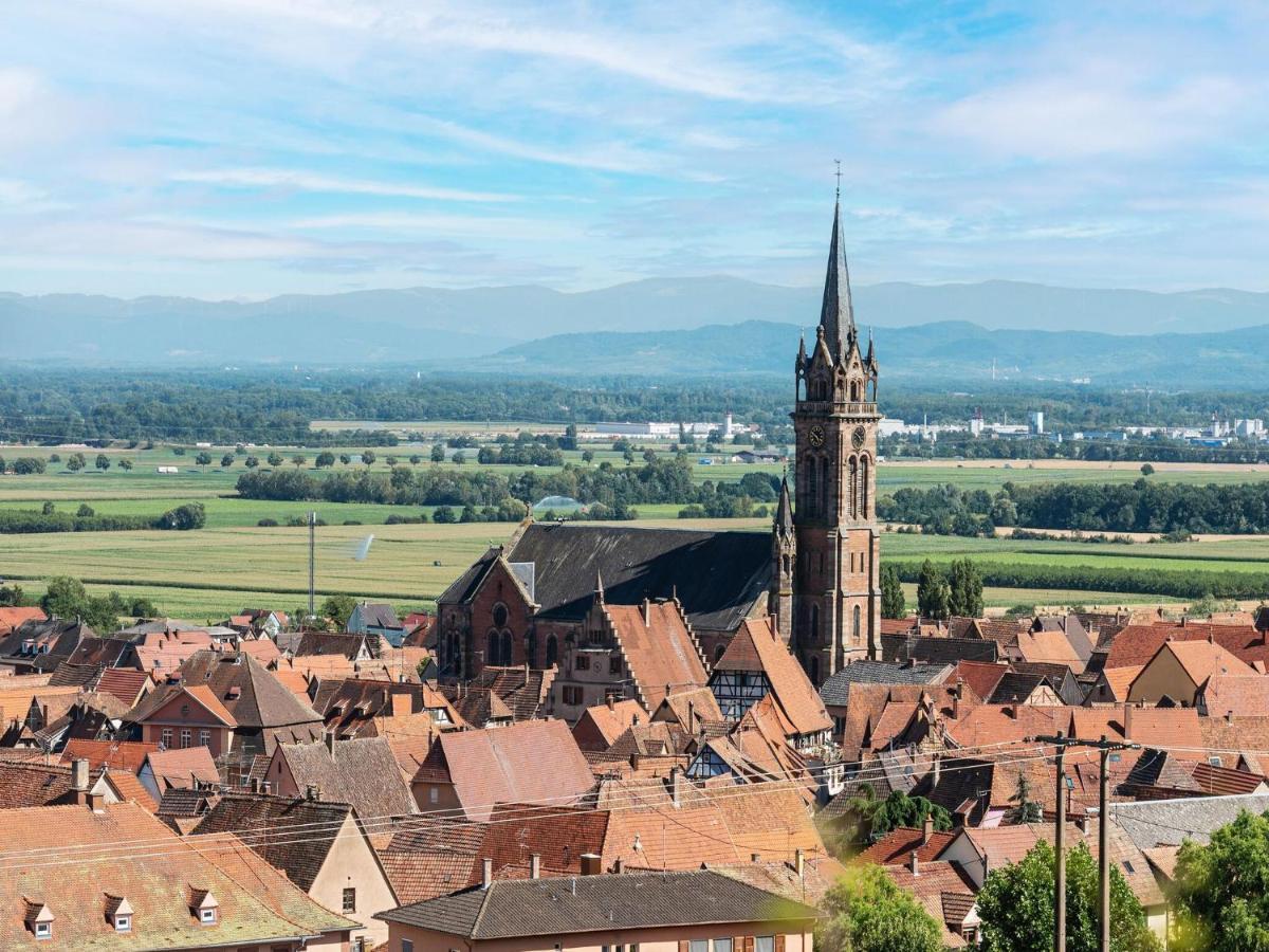 Charming Gite In Dambach La Ville With Terrace ภายนอก รูปภาพ