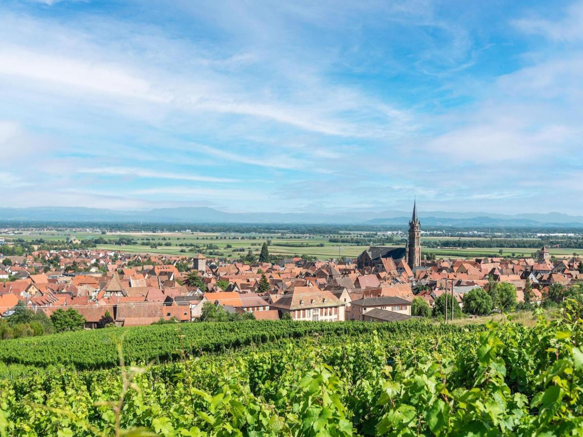 Charming Gite In Dambach La Ville With Terrace ภายนอก รูปภาพ
